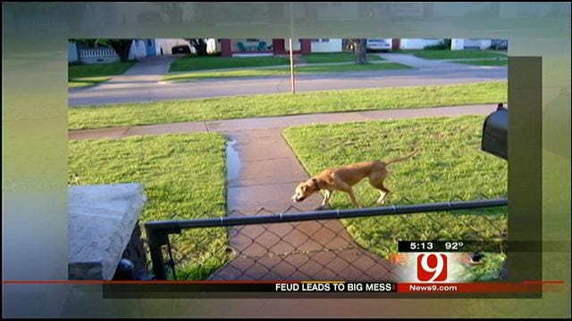 Man Calls OKC Police On Neighbor's Not Cleaning Up After Pet