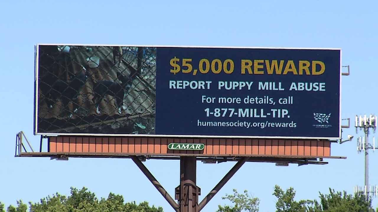 Humane Society's New Campaign Targets Illegal Oklahoma Puppy Mills