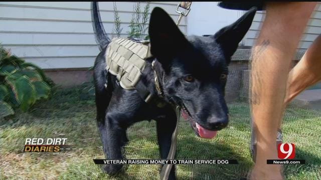 Army Veteran Raises Money To Train Service Dog