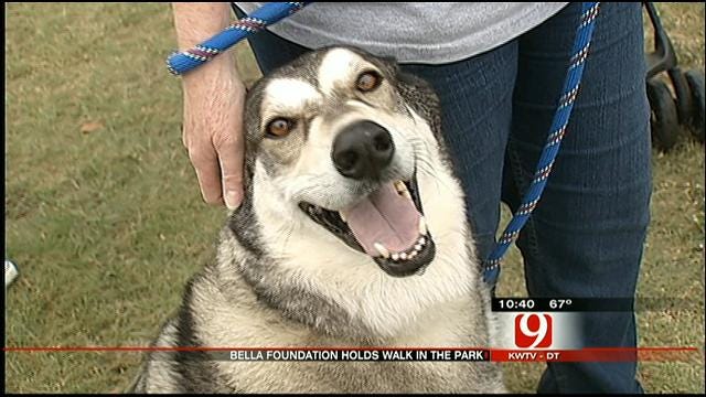 Oklahomans Take Their Dogs On A Walk For A Good Cause