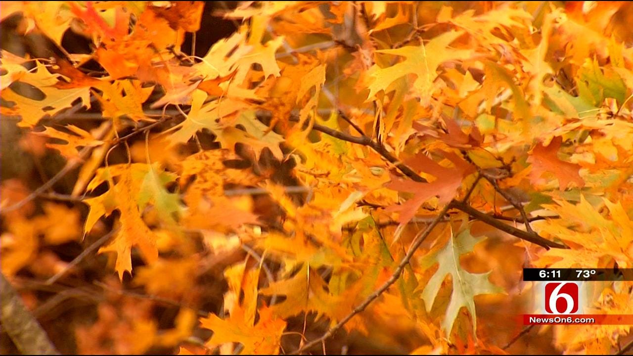 Cold Front Could Bring Early End To Oklahoma's Fall Foliage