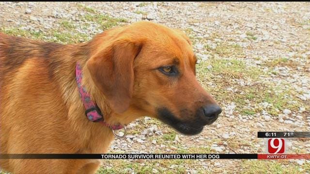 Believed Lost In The Storm, Wynnewood Family's Dog Makes Miraculous Return