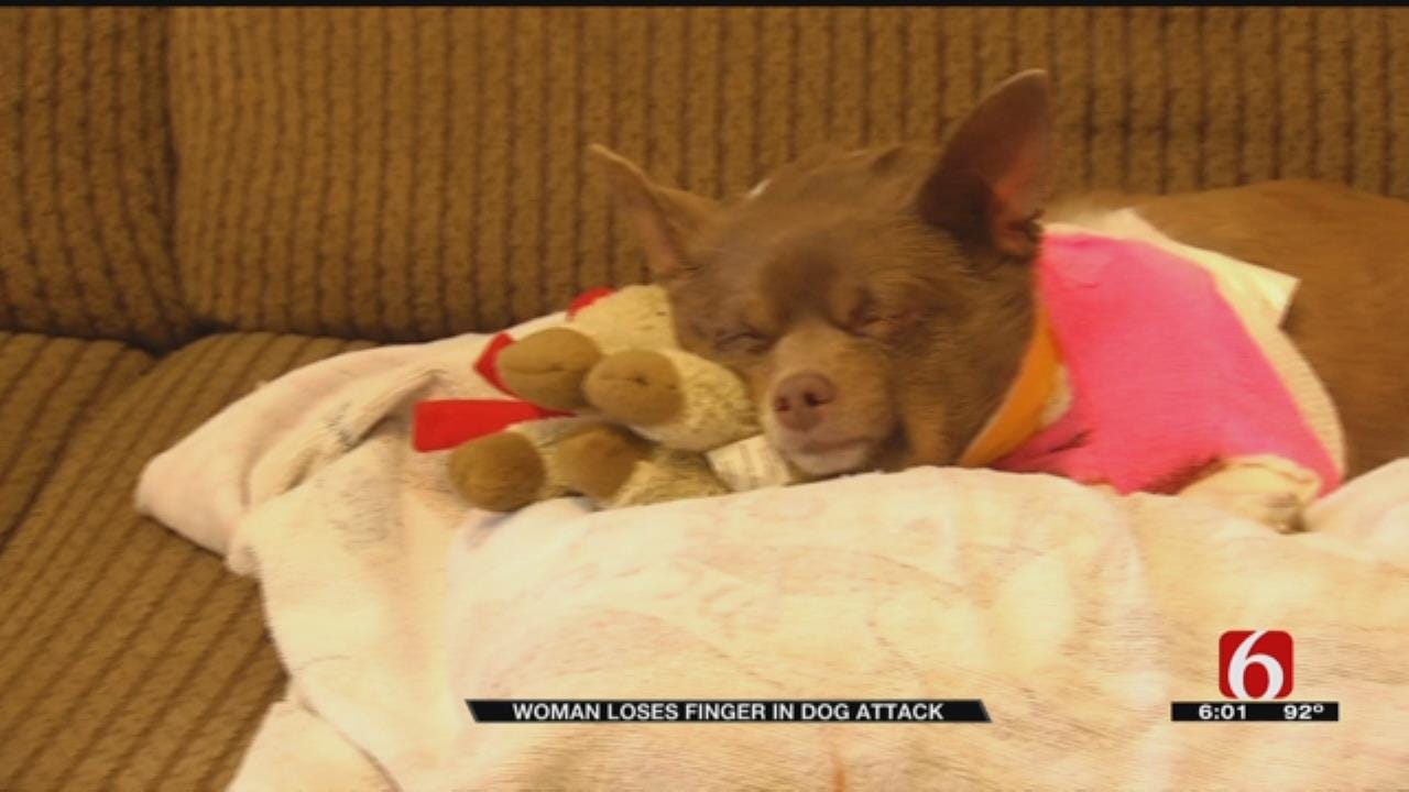 Broken Arrow Woman And Dog Recover From Weekend Attack