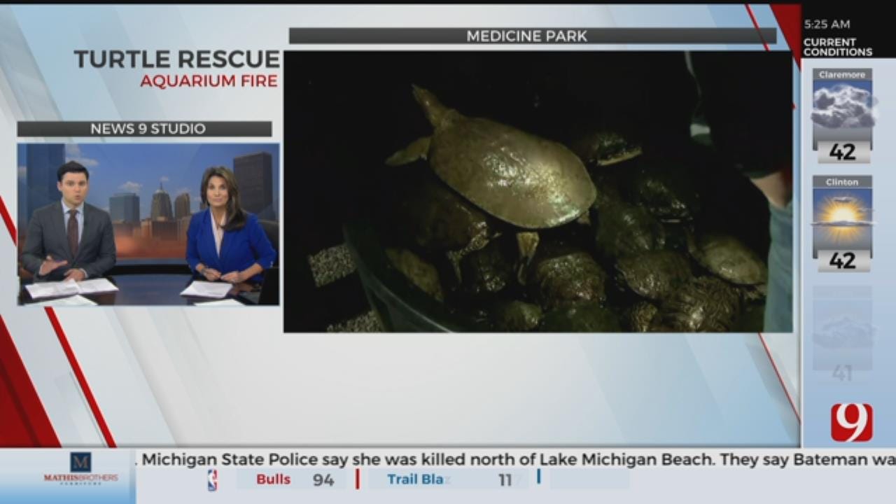 Dozens Of Turtles Rescued From Aquarium Fire