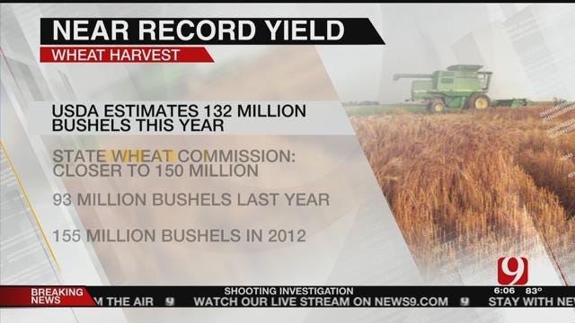 Oklahoma Wheat Crop Up, Prices Down