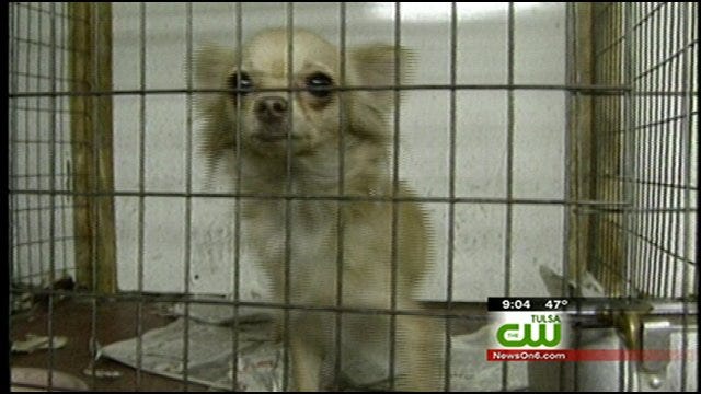 Oklahoma Lawmakers Debate Puppy Mill Legislation