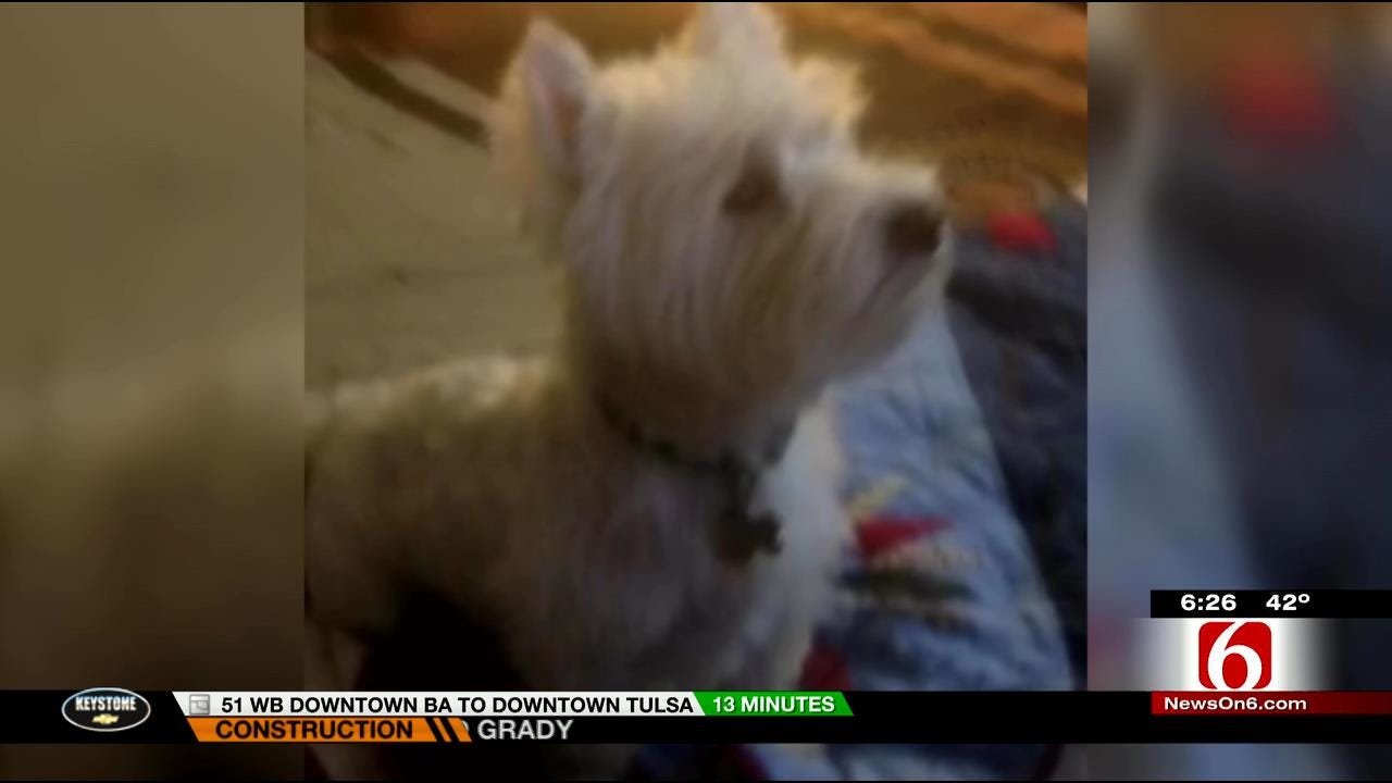 WEB EXTRA: Local Dog Loves Watching News On 6 Every Chance He Gets