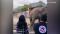 Cher Helps Kaavan The Lonely Elephant Find A New Life, Maybe Even Love, After A Grim 35 Years