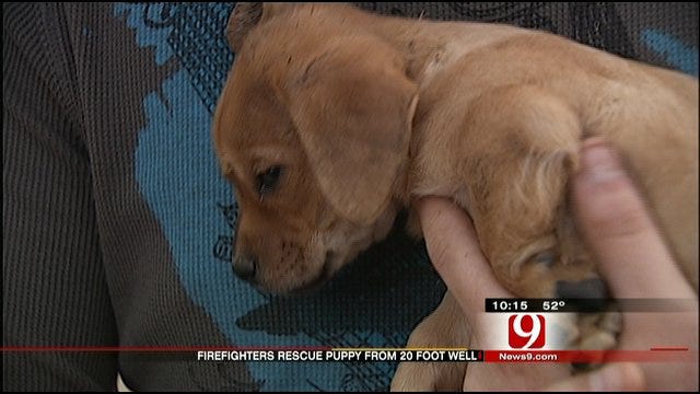 OKC Firefighters Save Puppy From 20-Foot Well