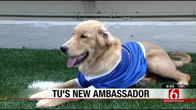 TU Introduces New Football Ambassador