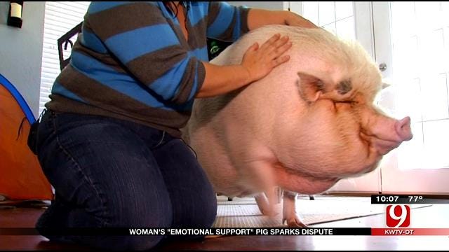 OKC Woman's 'Emotional Support' Pig Sparks Dispute