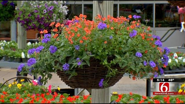 Oklahoma Gardeners Scramble To Protect Plants In Hard Freeze