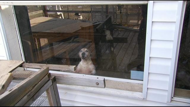 Abandoned Barnsdall Dog Shelter Causing Grief For Neighbors