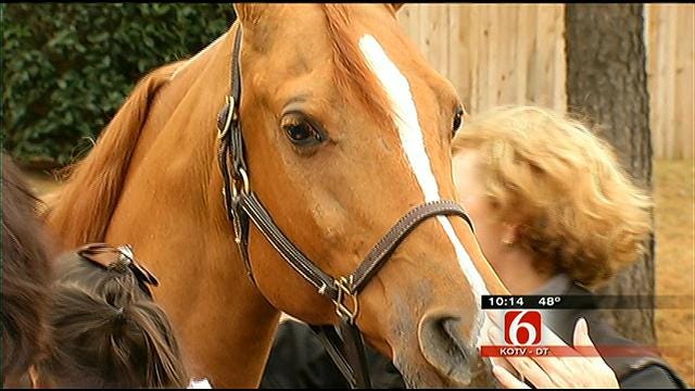 Tulsa's Little Lighthouse Kids Get To Meet Horse From Arabian Nationals