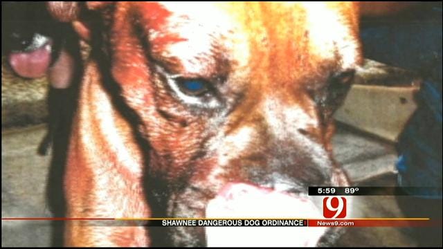 Shawnee To Amend Vicious Dog Laws After Attack