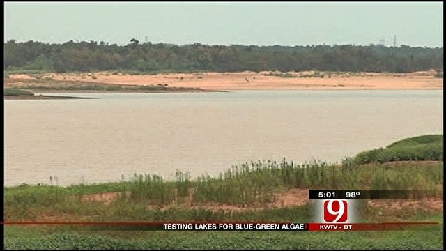 Blue-Green Algae Found At Two Oklahoma City Lakes