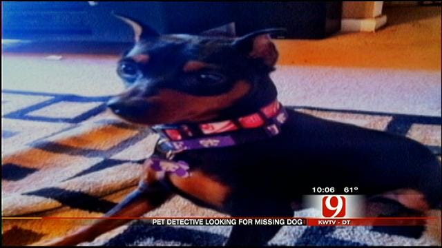 Pet Detective Joins Search In OK For Missing California Dog