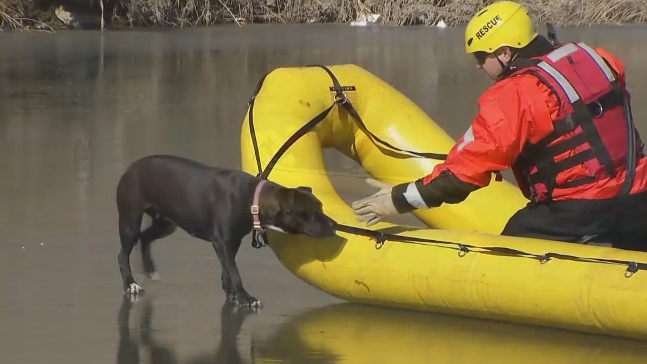 WEB EXTRA: Dog Rescued From Frozen Tulsa Creek