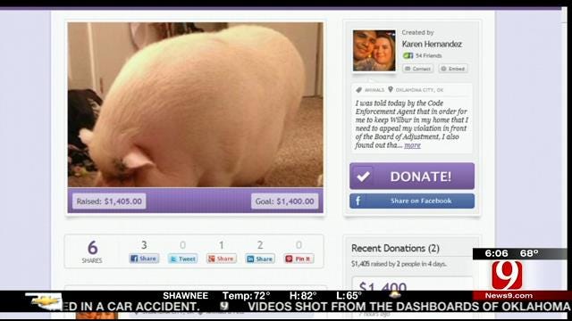 OKC Woman Fighting To Keep 'Emotional Support' Pig Gets Big Donation