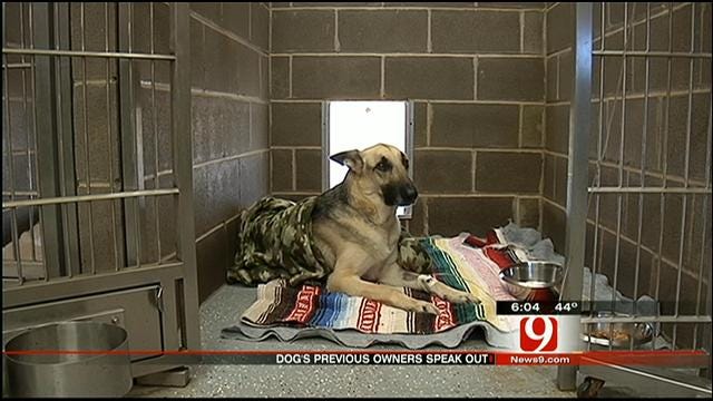 Dog Thrown From Bridge Undergoes Surgery, Previous Owners Speak to News 9
