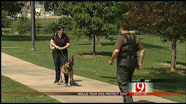 Would Your Dog Protect You From Danger?