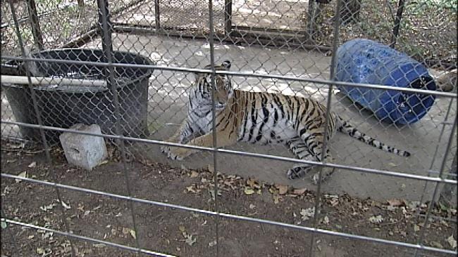 Safari's Exotic Animal Sanctuary Closes To Public