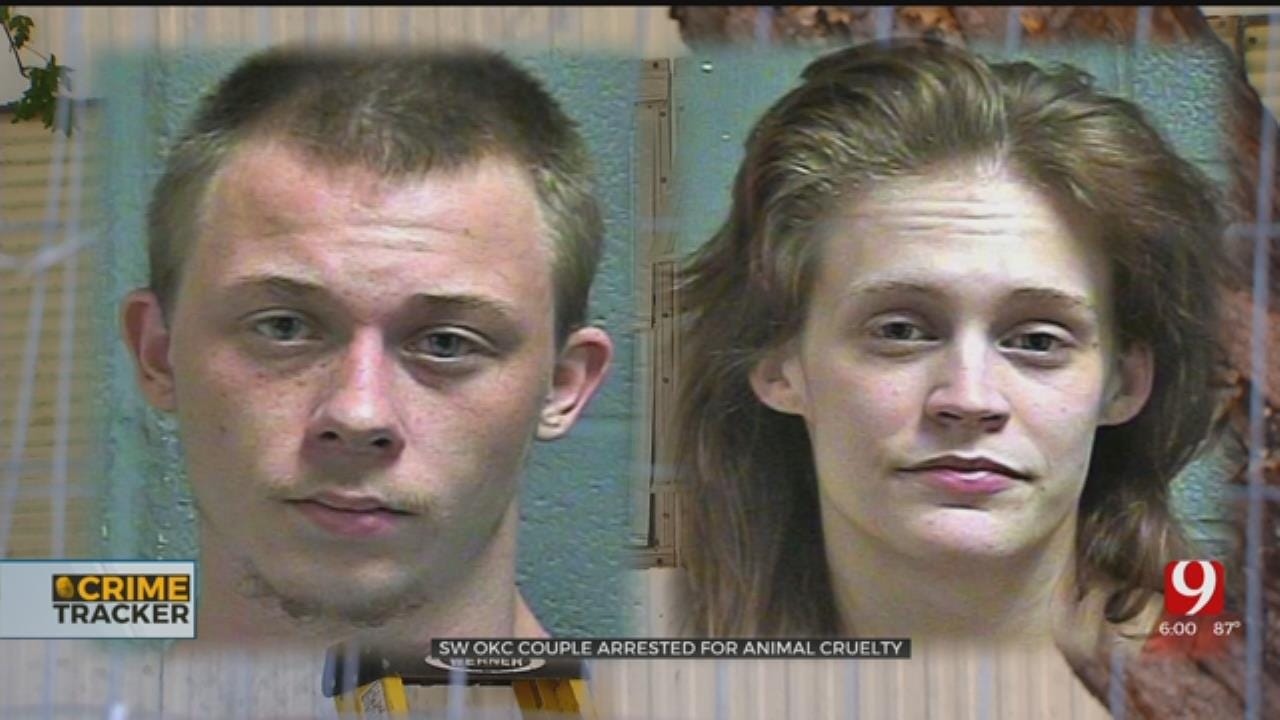 OKC Couple Arrested For Alleged Animal Cruelty After 11 Starving Dogs Found In Trailer