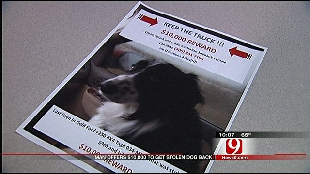 Stolen Truck Found In OKC, Retired Trooper Still Searching For Missing Dog