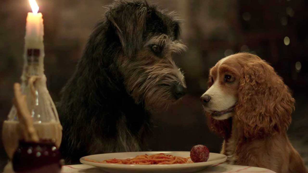 Disney Releases Live-Action Remake 'Lady And The Tramp' Trailer