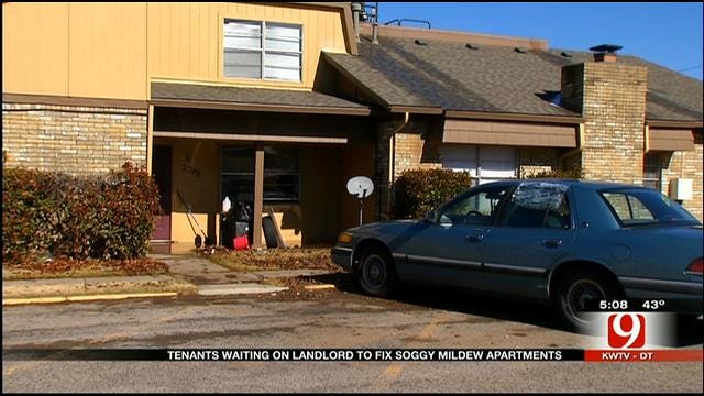 Residents Displaced By Norman Apartment Complex Flooding, Mildew