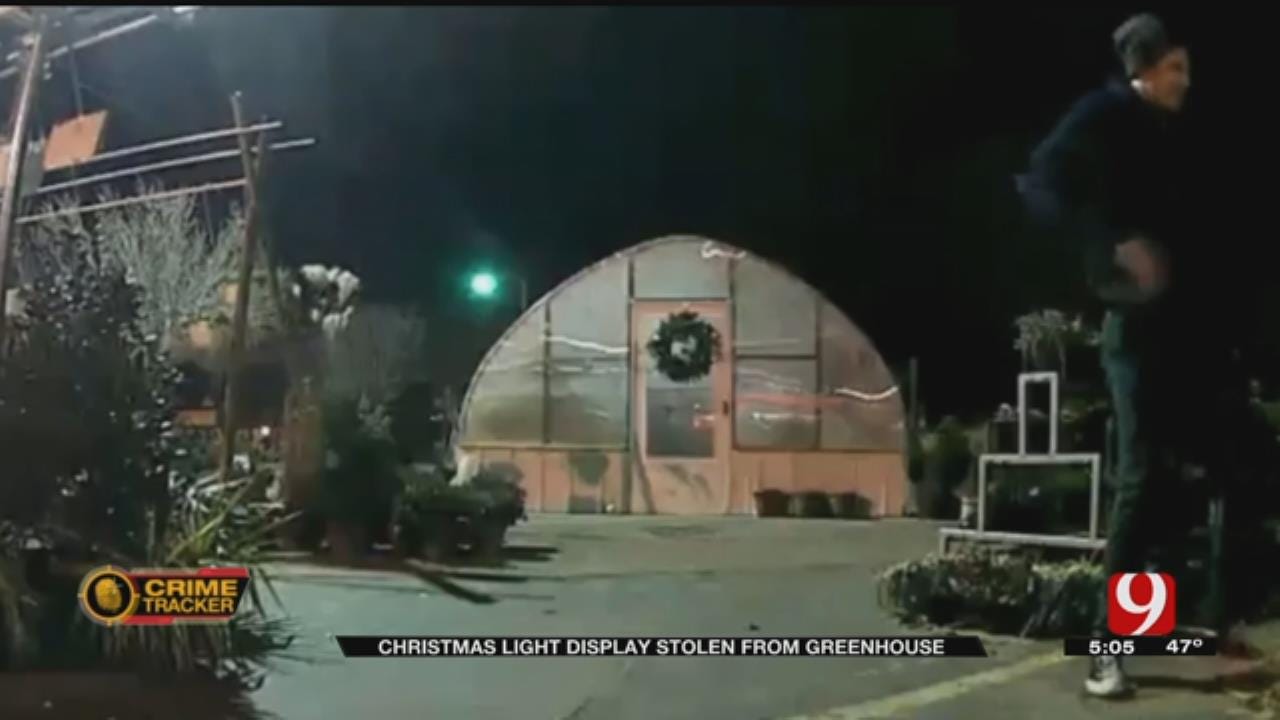 Christmas Light Display Stolen From Metro Business