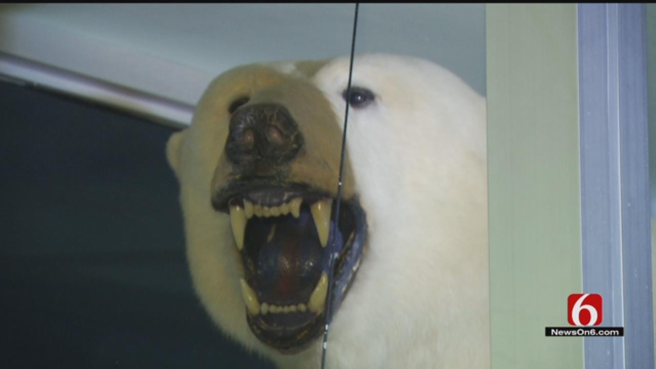 Rightful Owners Of Confiscated Polar Bear Share Its Storied History
