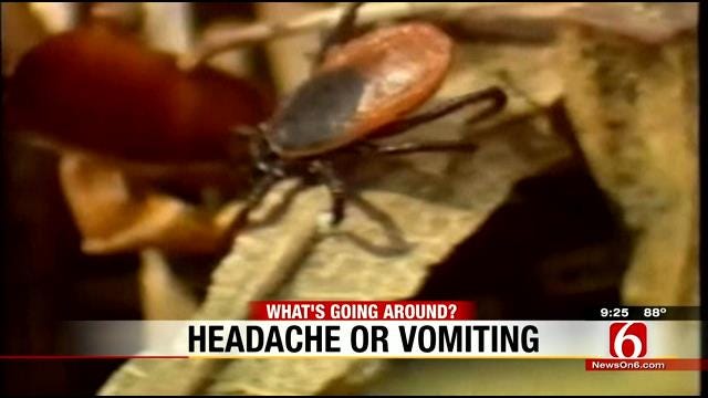 What's Going Around: Tick Bites And Stomach Flu