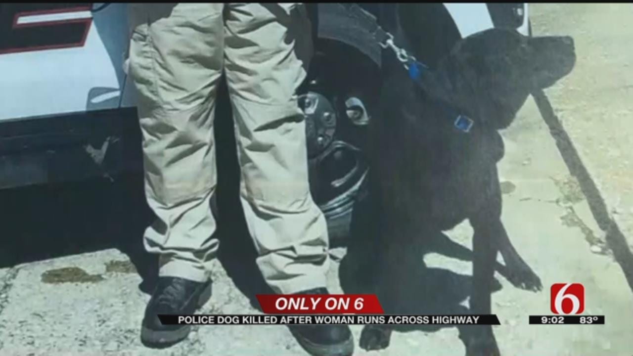 Nowata Police K9 Killed After Woman Lets It Out Of Police Car