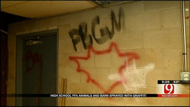 Chickasha FFA Instructor Speaks Out On Ag Farm Vandalism