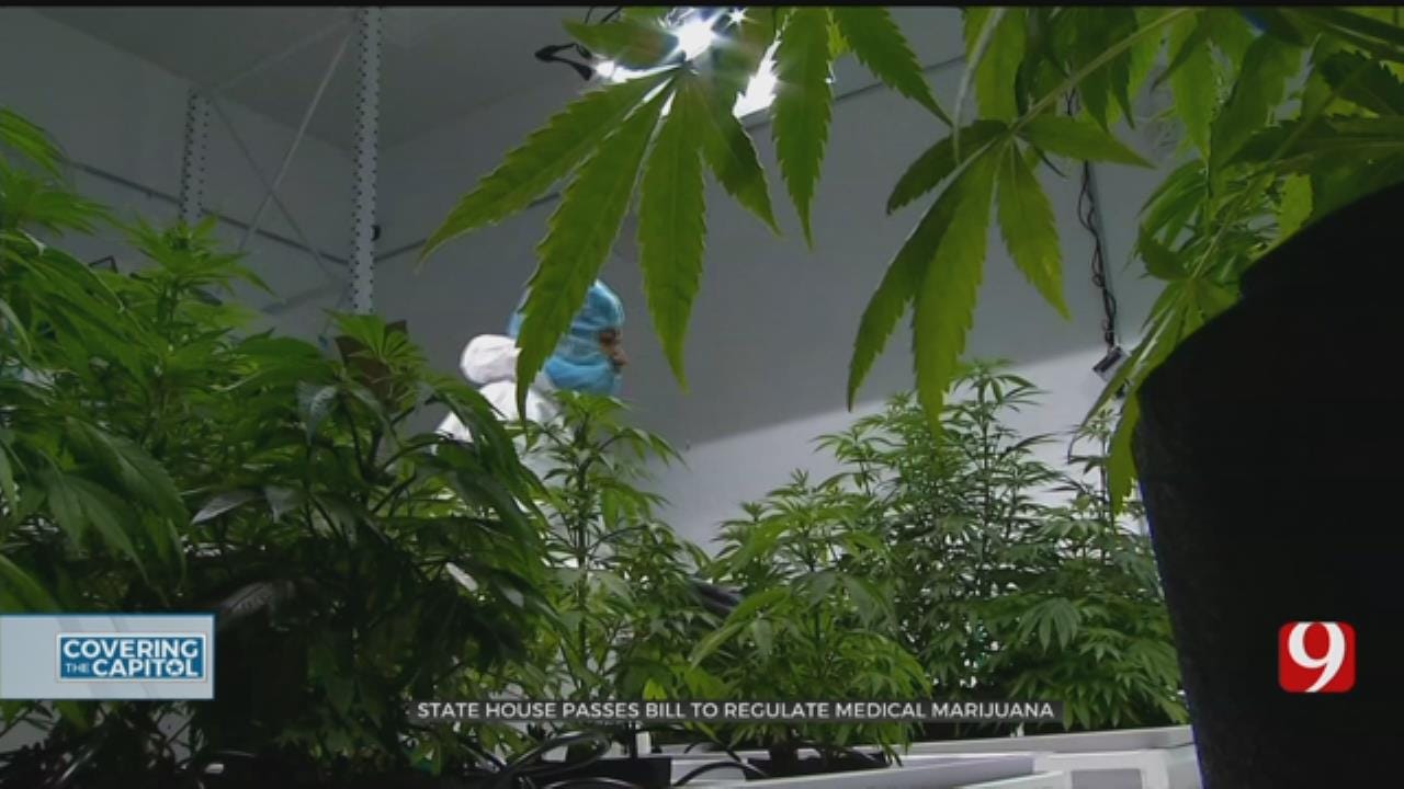 'Unity Bill' Regulating Medical Marijuana Passes In State House Of Representatives