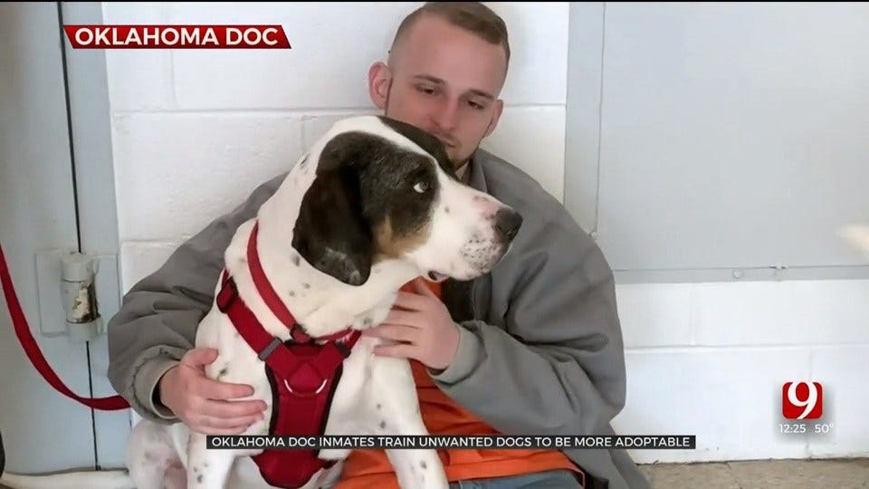 Oklahoma DOC Inmates Train, Rehabilitate Dogs To Become More Adoptable
