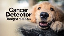 Dog Detector: Cancer-sniffing dogs