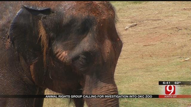 Group Files Complaint Against OKC Zoo After Chai's Death