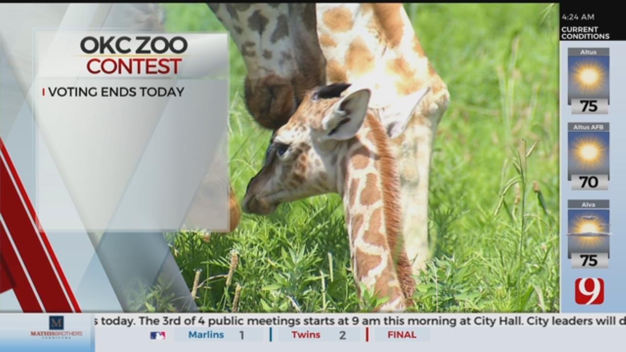 Voting Wraps Up To Help OKC Zoo Win $25,000 Grant