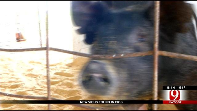New Pig Virus Takes Toll Of Oklahoma Pork Prices