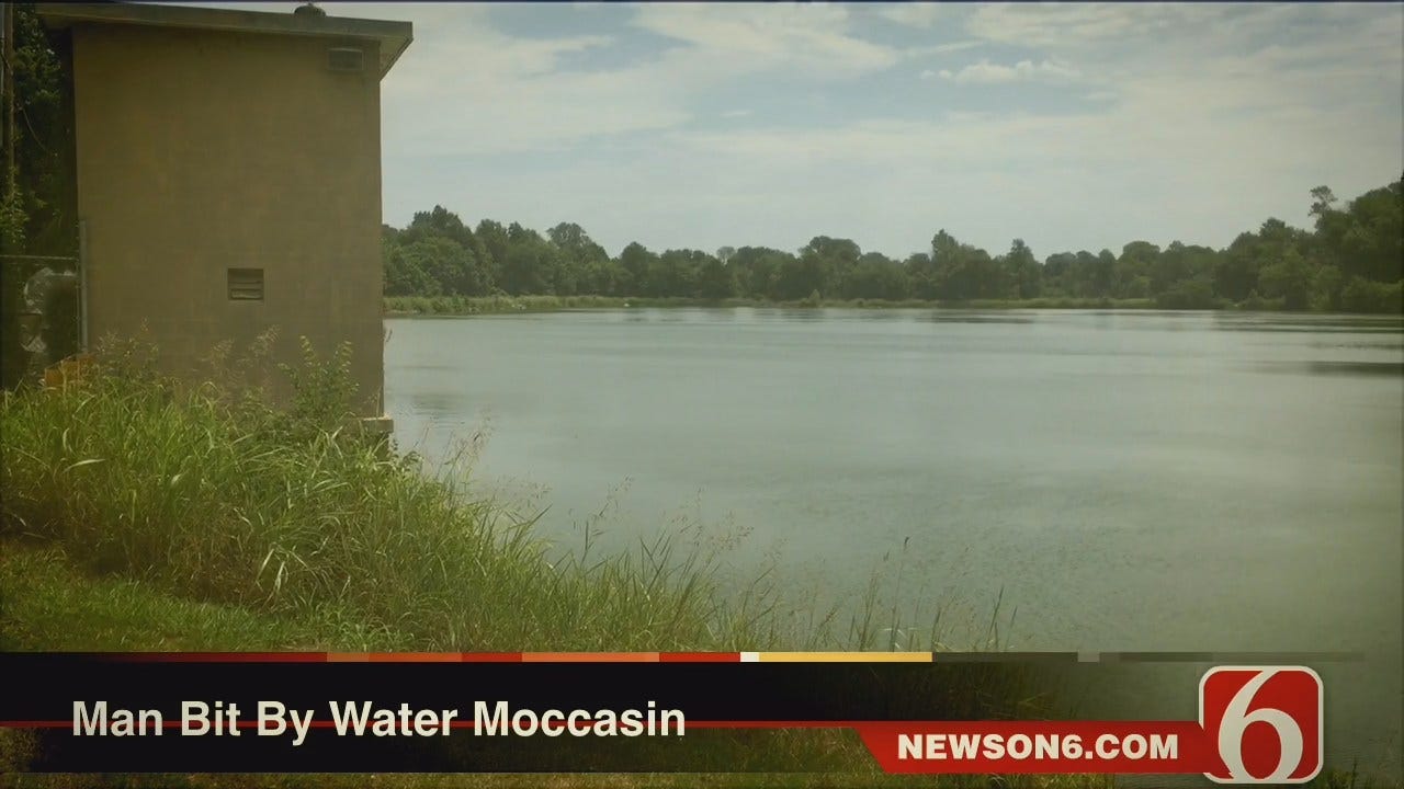 Melissa Hawkes: Man Bit By Water Moccasin On Collinsville City Lake