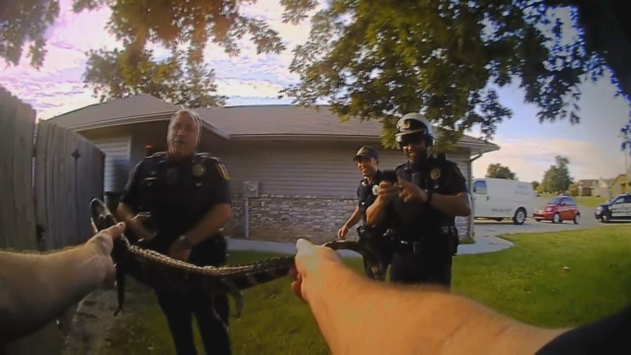 VIEWER DISCRETION: Moore Police Officer Captures Gator In Raw Bodycam Video