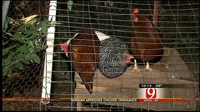 Norman 'Goes To The Birds' With Passing Of New Ordinance