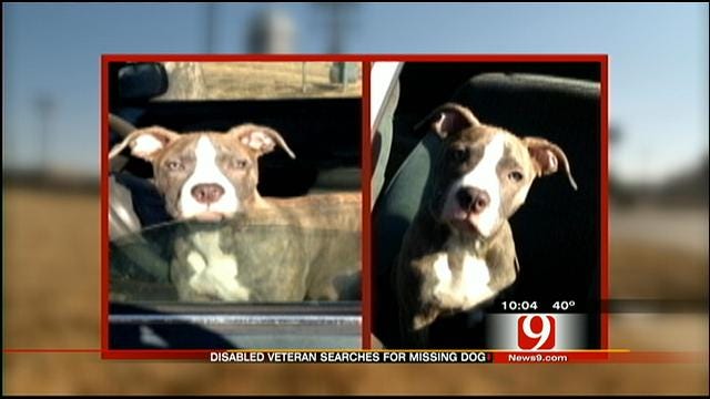 Cushing Disabled Veteran Seeks Help Finding Missing Service Dog