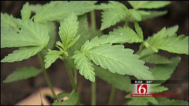 Creek County Pot Bust Reveals New Front Line In War On Drugs