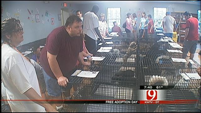Crowds Turn Out To Free Pet Adoption Day In Oklahoma City