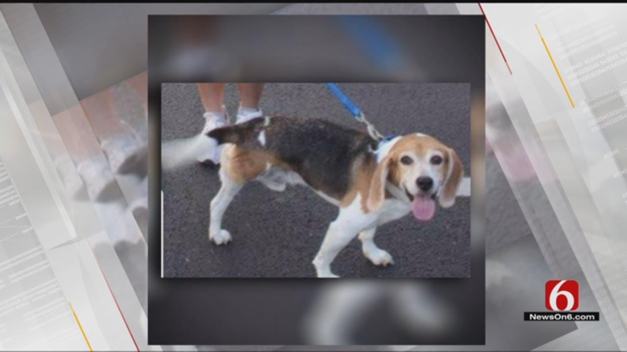 Jenks Family Searches For 3-Legged Service Dog