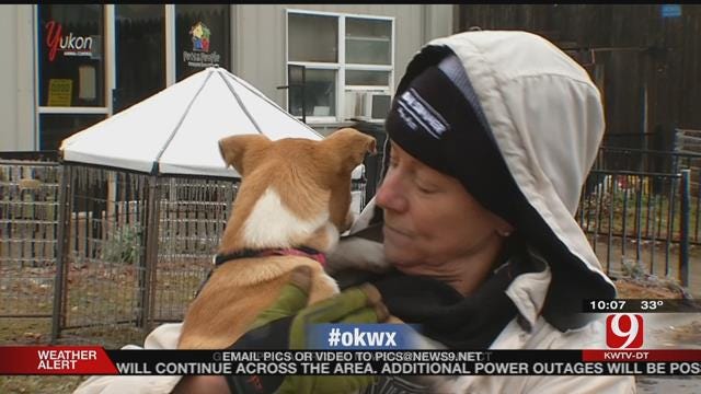 Volunteers Help Animal Shelter In Yukon After Ice Storm
