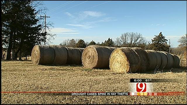 Bad Oklahoma Drought Leads To Spike In Hay Thefts